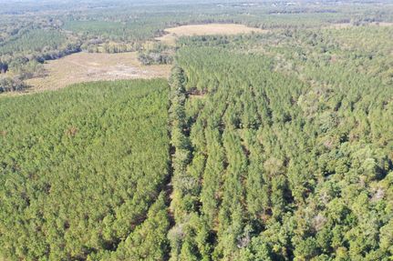 Timberland Property for sale in Grady County, Georgia
