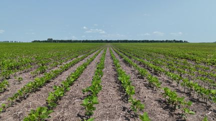 Farm Property for sale in Ramsey County, North Dakota