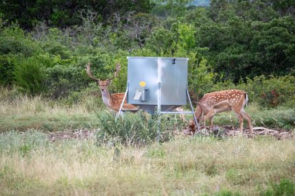 Property for sale in Kerr County, Texas