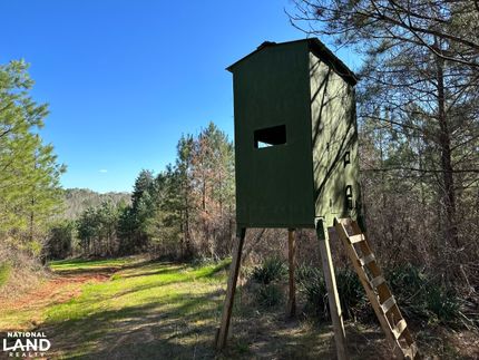 Property for sale in Lamar County, Alabama