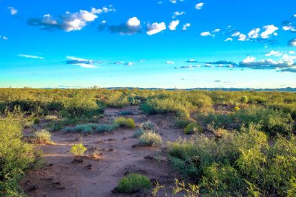 Property for sale in Culberson County, Texas