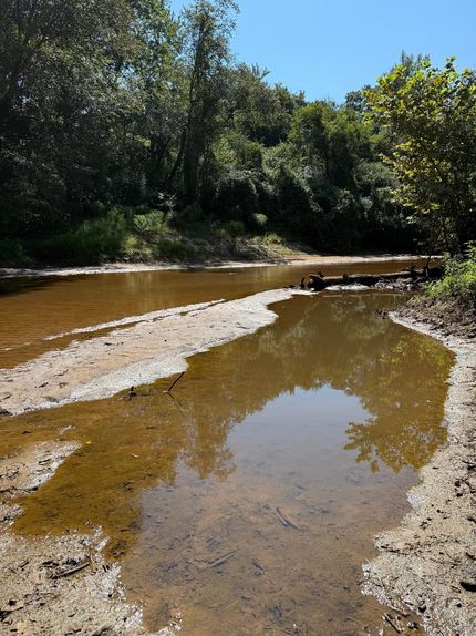 Hunting Land for sale in Newton County, Mississippi