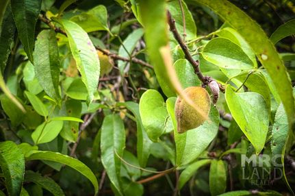 Property for sale in Shelby County, Texas