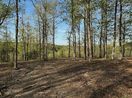 Undeveloped Land for sale in Perry County, Tennessee