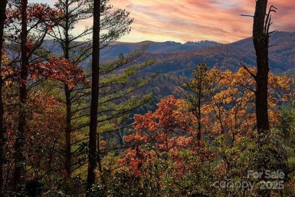 Undeveloped Land for sale in Transylvania County, North Carolina