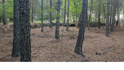 Undeveloped Land for sale in Marion County, Tennessee