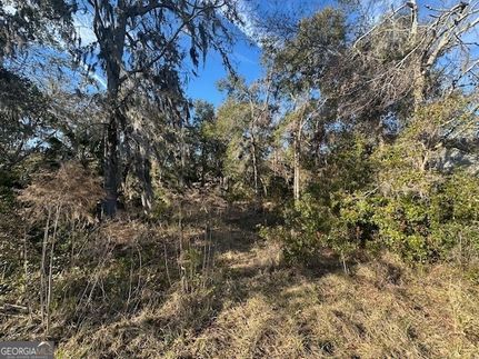 Lakefront Property for sale in Camden County, Georgia