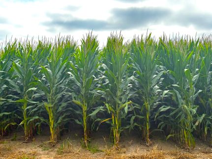 Farm Property for sale in Carroll County, Indiana