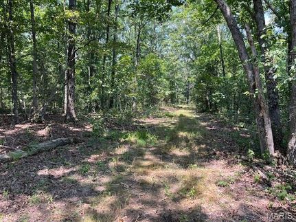 Undeveloped Land for sale in Gasconade County, Missouri