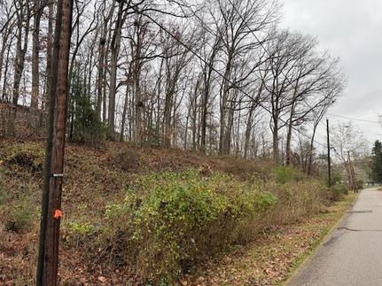 Undeveloped Land for sale in Kanawha County, West Virginia