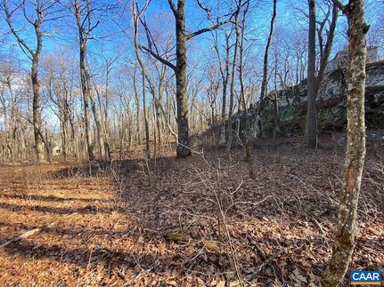 Undeveloped Land for sale in Nelson County, Virginia