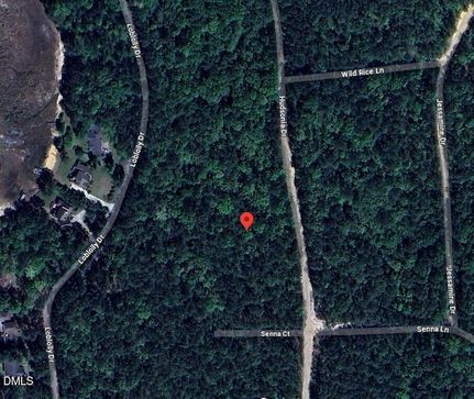 Undeveloped Land for sale in Moore County, North Carolina
