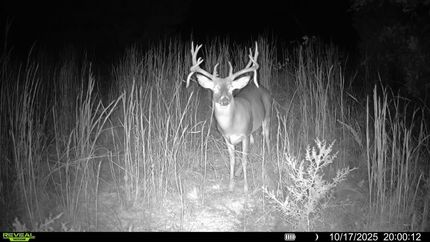 Farm Property for sale in Creek County, Oklahoma