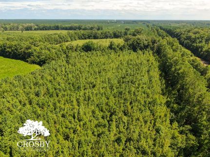 Property for sale in Marlboro County, South Carolina