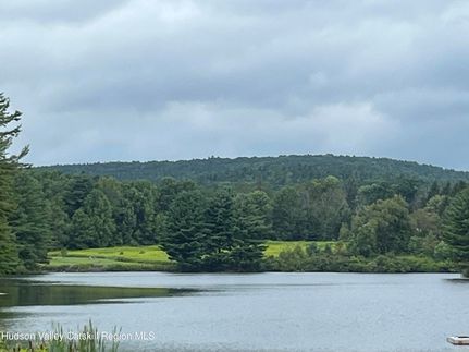 Undeveloped Land for sale in Schoharie County, New York