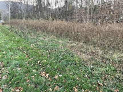 Undeveloped Land for sale in Unicoi County, Tennessee