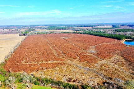 Recreational Property for sale in Irwin County, Georgia