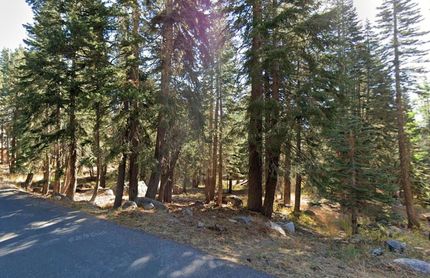 Undeveloped Land for sale in Alpine County, California