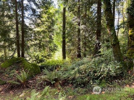 Undeveloped Land for sale in King County, Washington