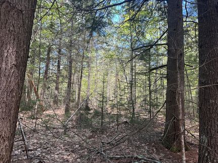 Undeveloped Land for sale in Lincoln County, Maine