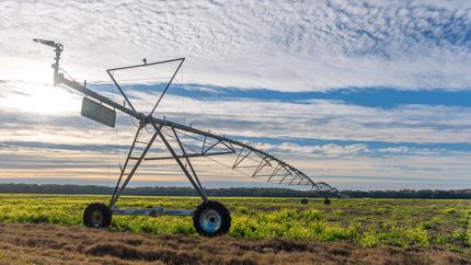 Farm Property for sale in Mitchell County, Georgia