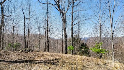 Undeveloped Land for sale in Madison County, North Carolina