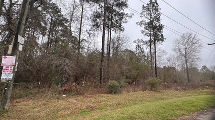 Undeveloped Land for sale in Liberty County, Texas