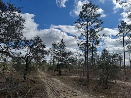 Farm Property for sale in Levy County, Florida
