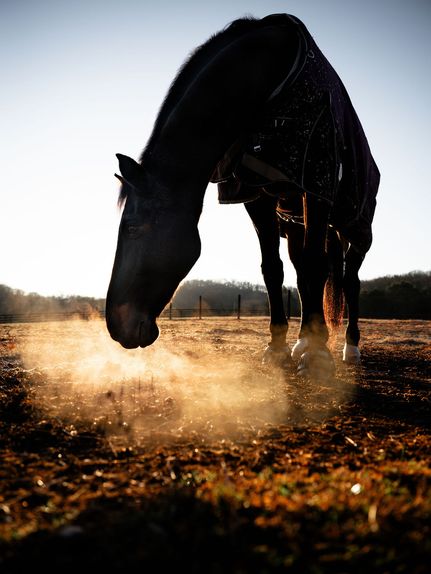 Property for sale in Williamson County, Tennessee