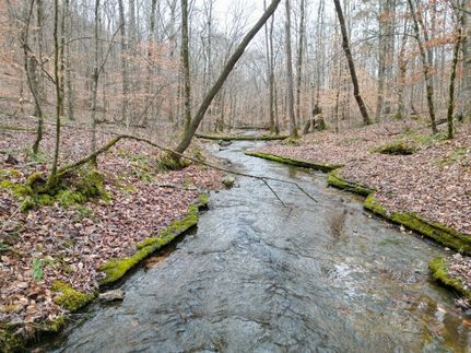 Property for sale in Wayne County, Tennessee