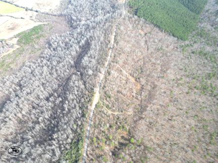 Undeveloped Land for sale in Saint Clair County, Alabama