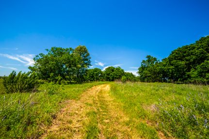 Undeveloped Land for sale in Guadalupe County, Texas