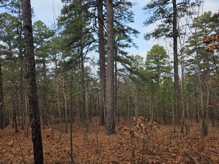 Recreational Property for sale in Le Flore County, Oklahoma