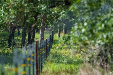 Residential Property for sale in Guadalupe County, Texas