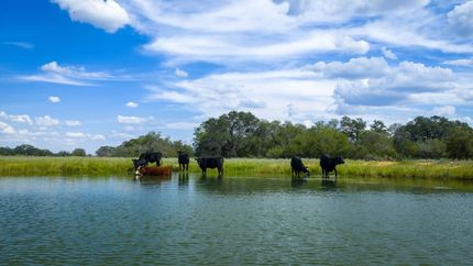 Hunting Land for sale in Medina County, Texas