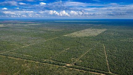 Undeveloped Land for sale in Duval County, Texas