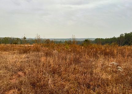 Undeveloped Land for sale in Washington County, Georgia