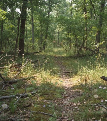 Timberland Property for sale in Cherokee County, Oklahoma