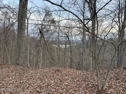 Property for sale in Monroe County, Tennessee