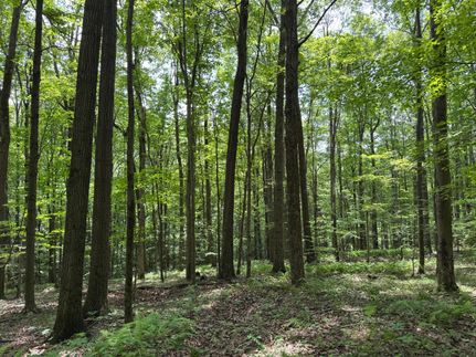 Undeveloped Land for sale in Clearfield County, Pennsylvania