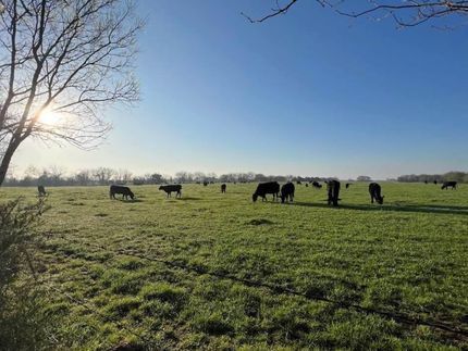 Farm Property for sale in Franklin County, Texas