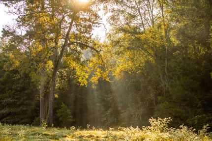 Property for sale in Smith County, Texas