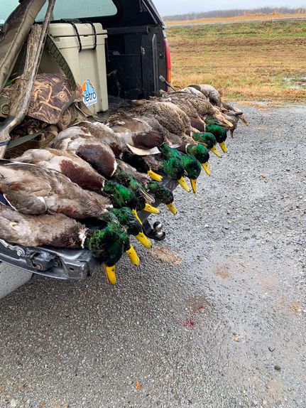 Property for sale in Lonoke County, Arkansas