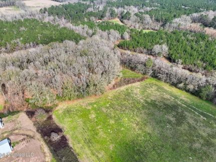 Farm Property for sale in Amite County, Mississippi