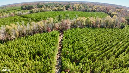 Hunting Land for sale in Hertford County, North Carolina