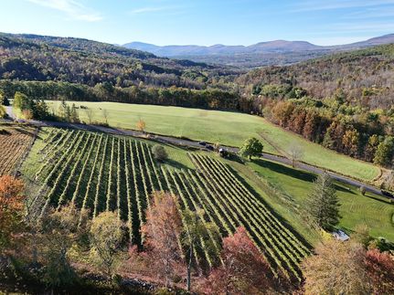 Undeveloped Land for sale in Albany County, New York