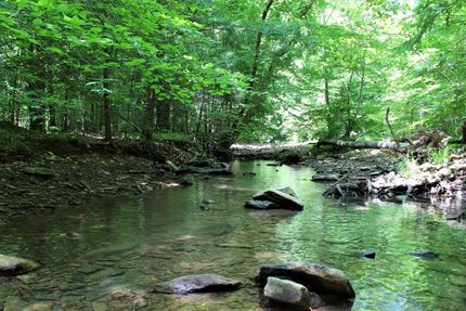 Property for sale in Owsley County, Kentucky