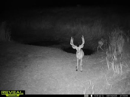 Recreational Property for sale in Moffat County, Colorado