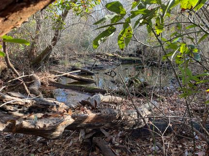 Property for sale in Jones County, North Carolina