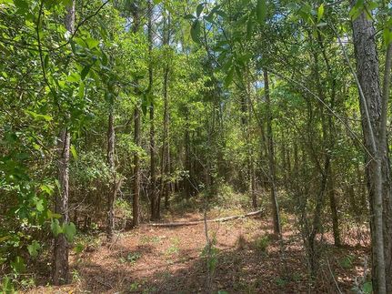 Property for sale in Gilchrist County, Florida